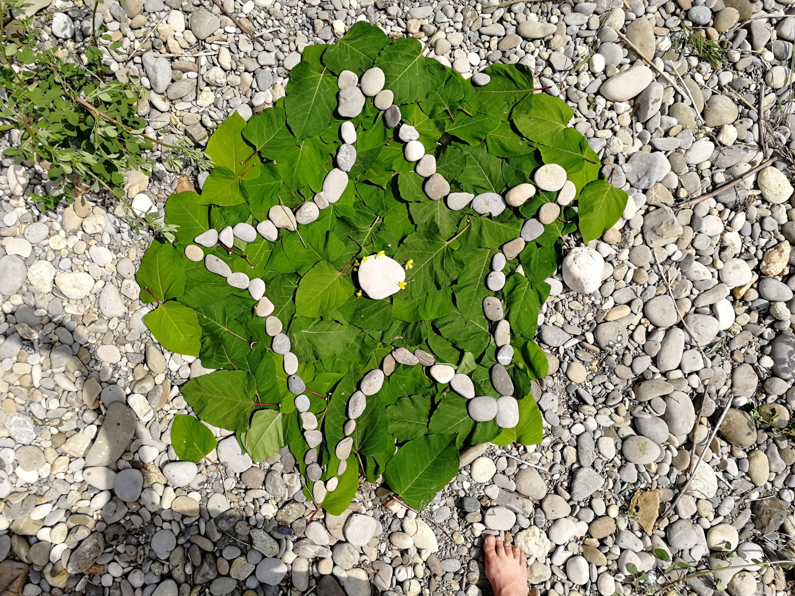 Land Art cailloux et feuilles