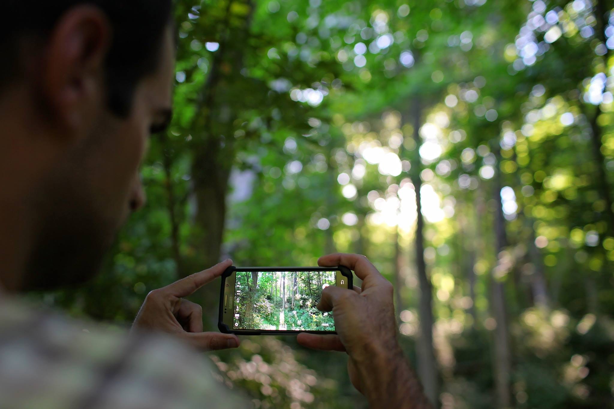 smartphone en mode photo dans une forêt