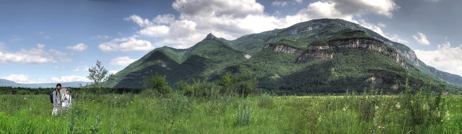 Vue du Grand Colombier depuis la prairie inondable