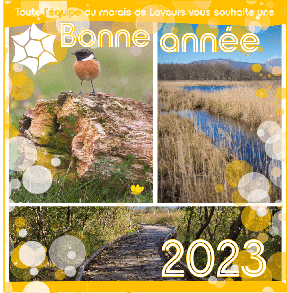 Bonne année 2023