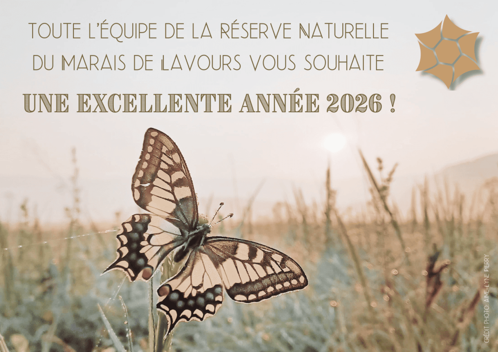 bonne année 2026!