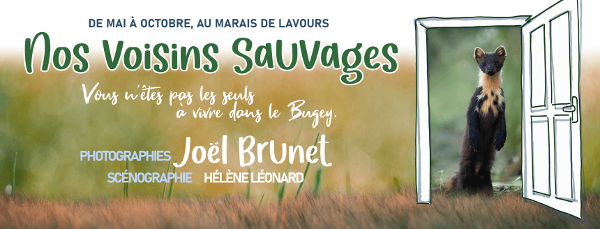 Bannière expo Nos voisins Sauvages