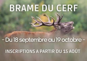 brame du cerf - inscriptions à partir du 15 août