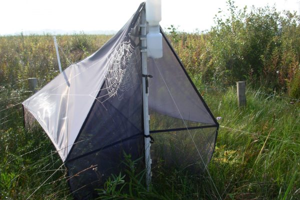 Une tente Malaise. Impossible d’y dormir, mais très efficace pour piéger les insectes volants. Prairies hygrophiles sur tourbe, 2008-2011.
