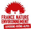 FNE